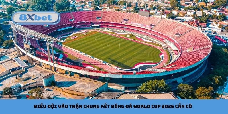 Điều đội vào trận chung kết bóng đá World Cup 2026 cần có