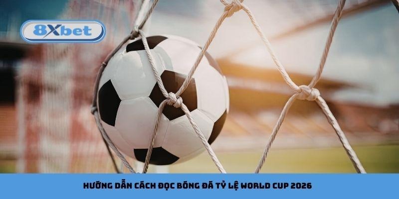Hướng dẫn cách đọc bóng đá tỷ lệ World Cup 2026